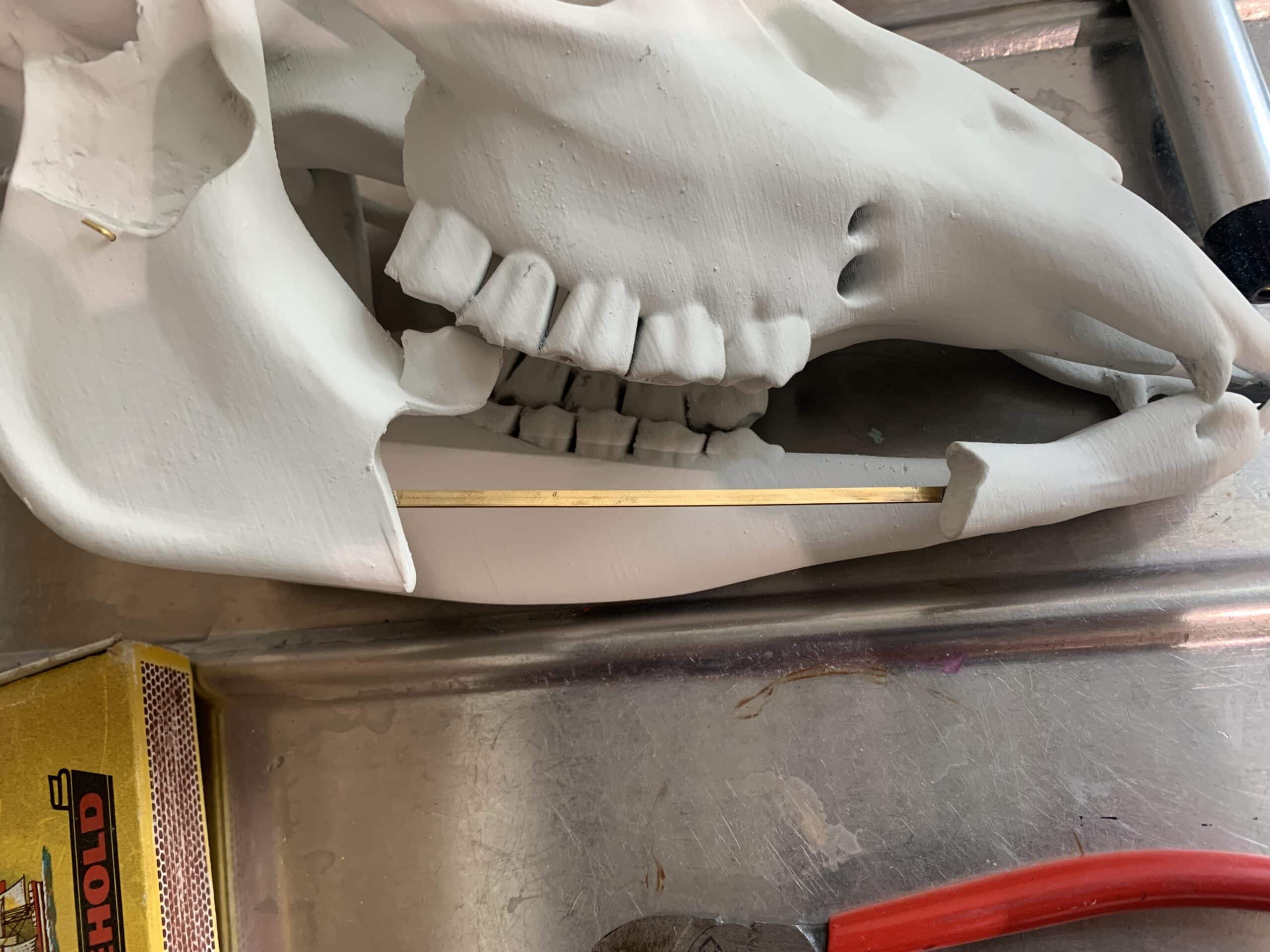 The 3D-printed animal skull being assembled with support rods 